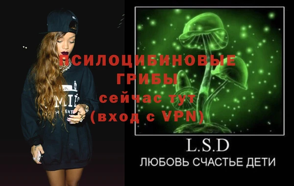 твердый Верея